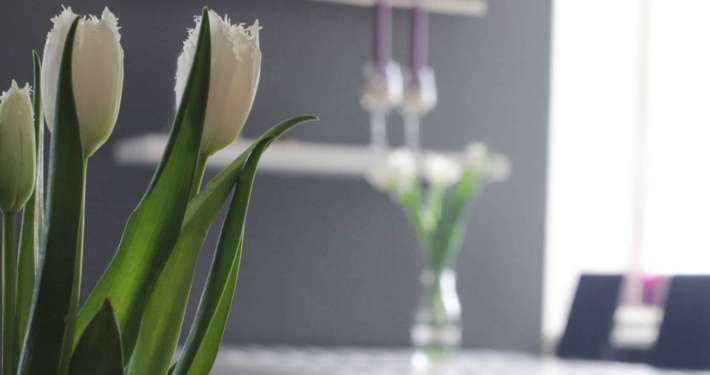 Fruehjahrsputz im Wohnzimmer